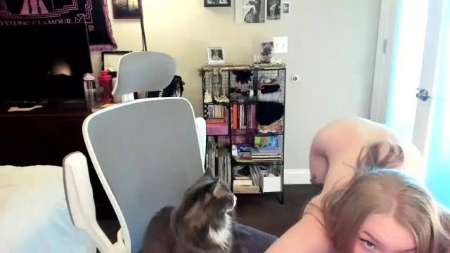 Image 10 of eve003300 Stream on Chaturbate on 18 days ago