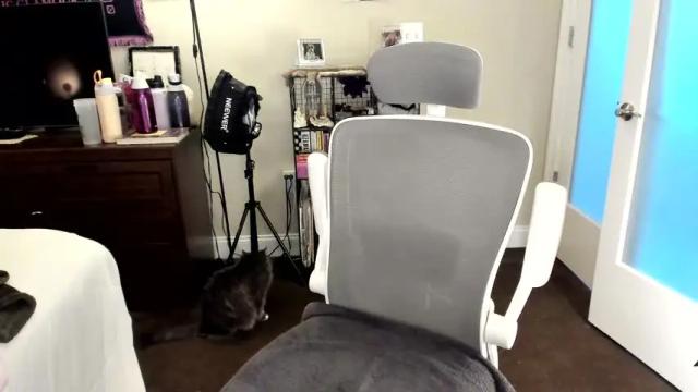 Image 7 of eve003300 Stream on Chaturbate on 13 days ago