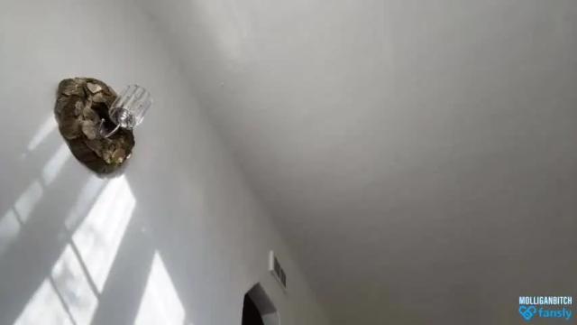 Image 12 of evelynforever Stream on Chaturbate on 15 months ago