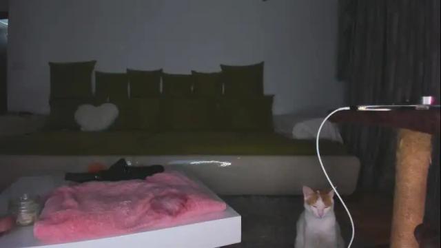Thumbnail 3, eves_bodyxxx's Stream at Chaturbate, 17 days ago