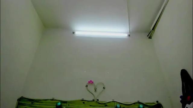 Image 3 of evil_marley Stream on Chaturbate on 21 days ago