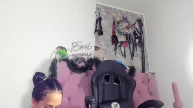 Image 2 of evil_sammy Stream on Chaturbate on 23 days ago