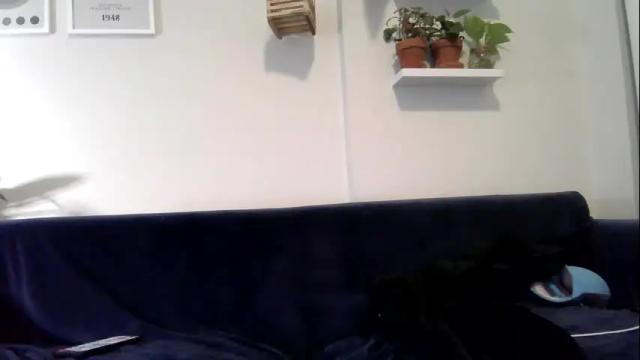 Thumbnail 2, evillers1's Stream at Chaturbate, 1 month ago