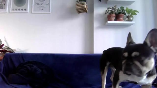Image 2 of evillers1 Stream on Chaturbate on 29 days ago