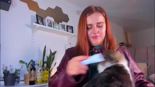 Image 4 of evy_orange1 Stream on Chaturbate on 1 day ago