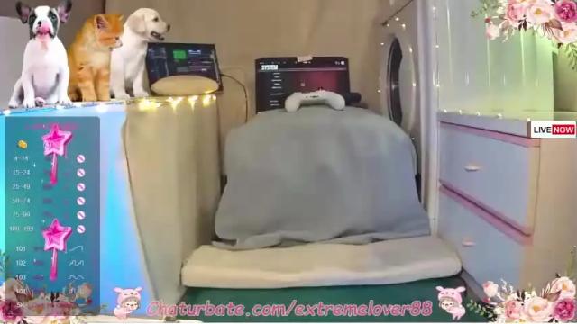 Image 11 of extremelover88 Stream on Chaturbate on 13 months ago