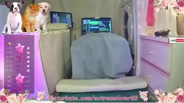 Image 11 of extremelover88 Stream on Chaturbate on 12 months ago
