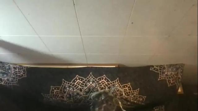 Image 2 of faexoxoxo Stream on Chaturbate on 1 month ago