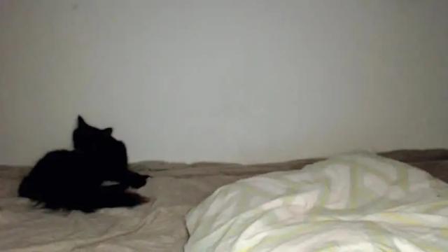 Image 3 of fair_blueberry Stream on Chaturbate on 13 months ago