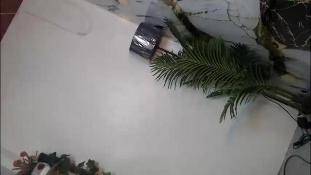 Image 10 of feisty_woman Stream on Chaturbate on 29 days ago
