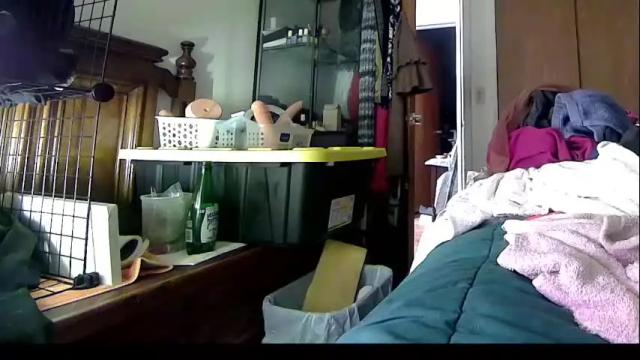 Image 11 of felicitybliss29 Stream on Chaturbate on 1 month ago