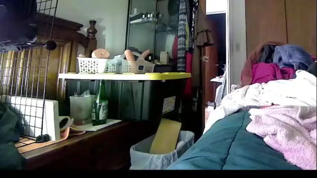 Image 12 of felicitybliss29 Stream on Chaturbate on 1 month ago