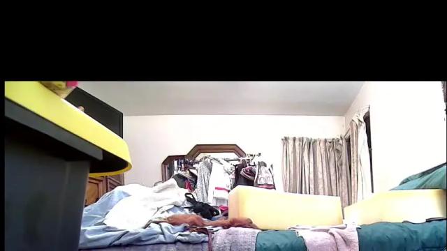 Thumbnail 1, felicitybliss29's Stream at Chaturbate, 1 month ago