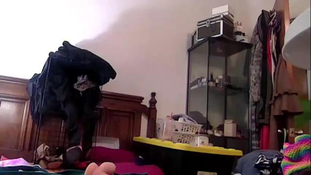 Image 8 of felicitybliss29 Stream on Chaturbate on 24 days ago