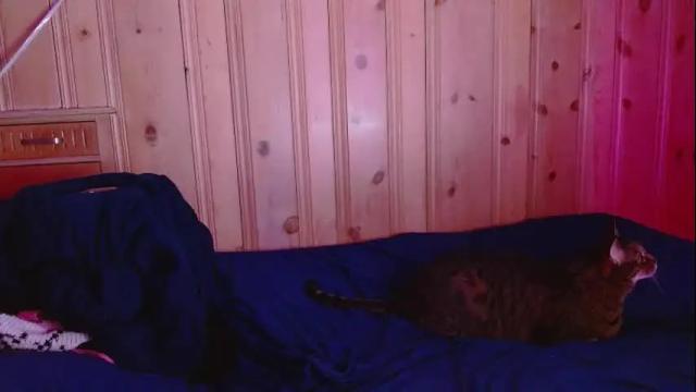 Image 7 of femboyflowers Stream on Chaturbate on 10 days ago