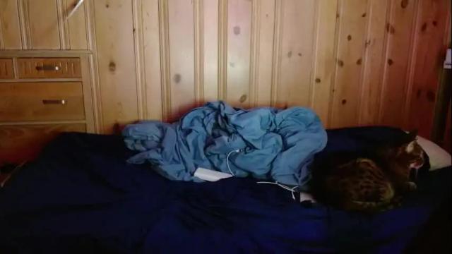 Image 11 of femboyflowers Stream on Chaturbate on 2 months ago