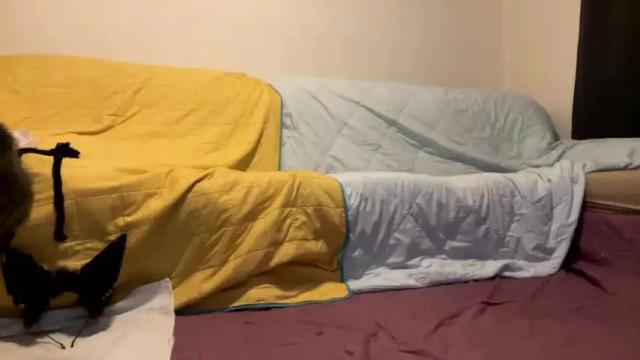 Thumbnail 1, femboyhorse's Stream at Chaturbate, 18 months ago