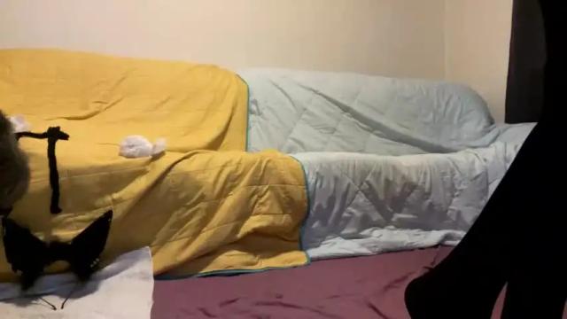 Image 4 of femboyhorse Stream on Chaturbate on 23 months ago