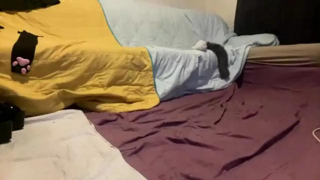Thumbnail 2, femboyhorse's Stream at Chaturbate, 18 months ago