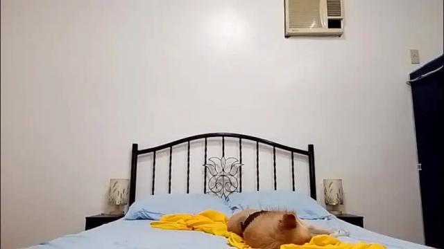 Image 7 of femininets69 Stream on Chaturbate on 16 days ago