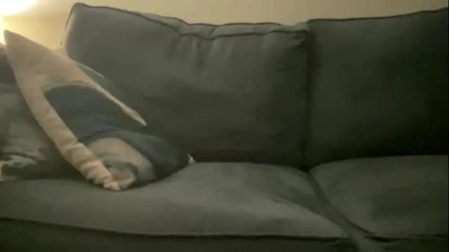 Image 6 of fetishamateurjh Stream on Chaturbate on 1 month ago