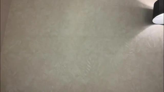 Image 8 of fflloowweerr Stream on Chaturbate on 27 days ago