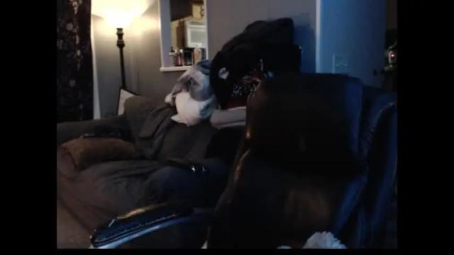 Thumbnail 3, fiaflowerz's Stream at Chaturbate, 17 months ago