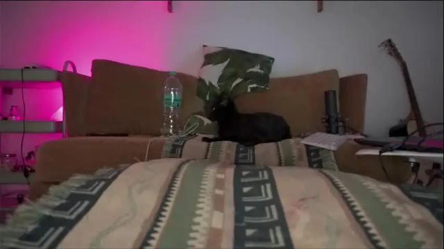 Thumbnail 2, findomfeet_'s Stream at Chaturbate, 2 months ago
