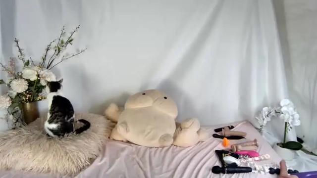 Image 8 of fit_american_girl Stream on Chaturbate on 11 days ago