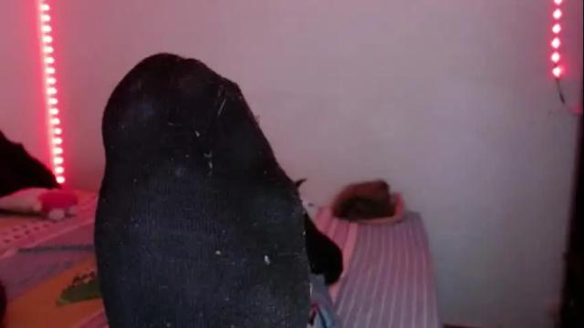 Image 8 of flak_sexy Stream on Chaturbate on 6 months ago