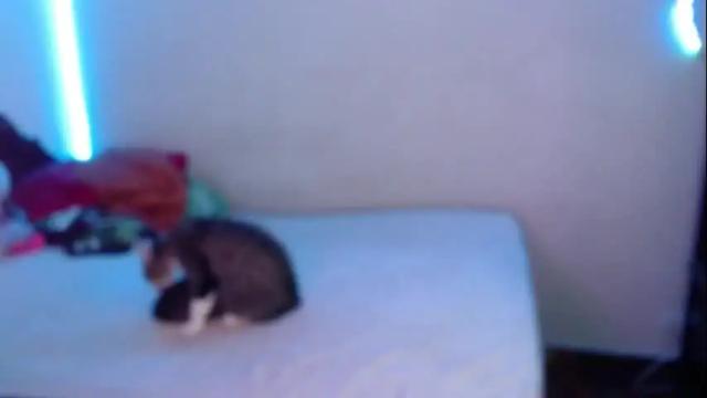 Image 2 of flak_sexy Stream on Chaturbate on 5 months ago