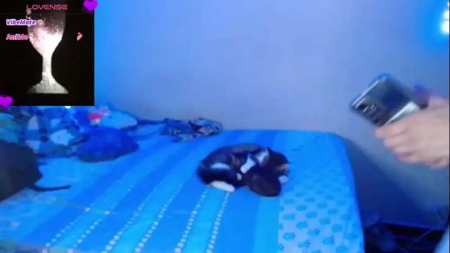 Image 7 of flak_sexy Stream on Chaturbate on 5 months ago