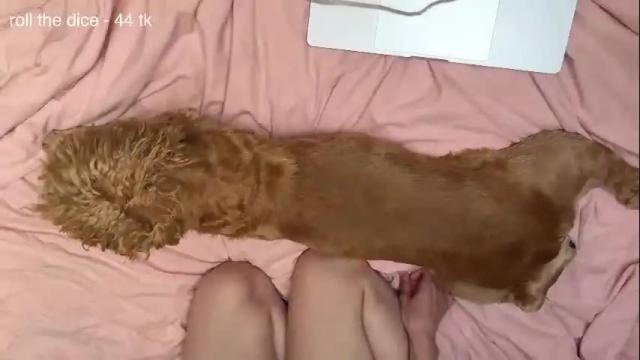 Image 10 of flaming_hotty Stream on Chaturbate on 1 month ago