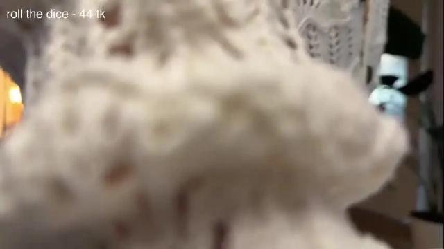 Image 3 of flaming_hotty Stream on Chaturbate on 1 month ago