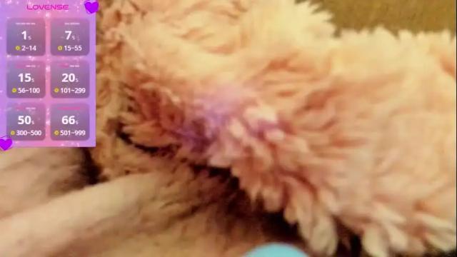 Image 12 of flexi_kitty8 Stream on Chaturbate on 1 month ago
