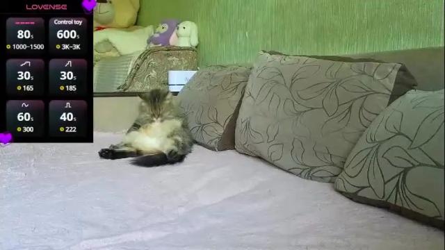 Image 7 of flexi_kitty8 Stream on Chaturbate on 5 days ago