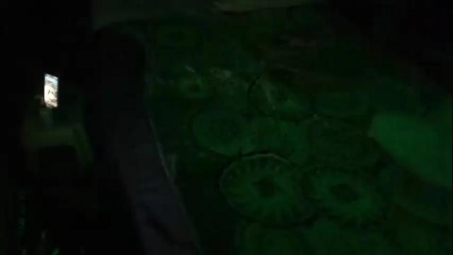 Image 2 of flopikin69 Stream on Chaturbate on 21 months ago