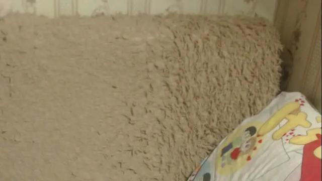 Image 6 of flowercandydoll13 Stream on Chaturbate on 16 days ago