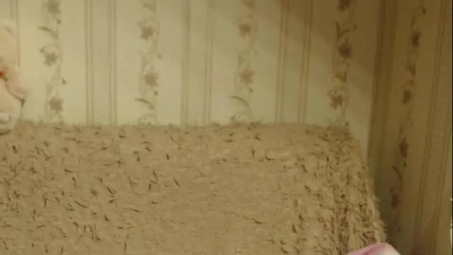 Image 6 of flowercandydoll13 Stream on Chaturbate on 1 month ago
