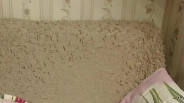 Image 6 of flowercandydoll13 Stream on Chaturbate on 1 month ago