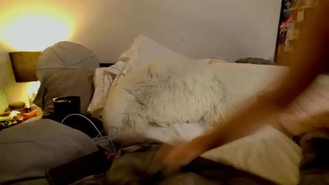 Image 8 of flowernips Stream on Chaturbate on 21 months ago
