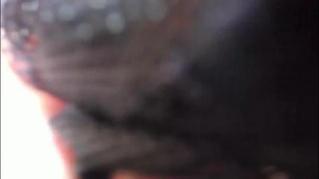 Thumbnail 1, forbiddenn_love's Stream at Chaturbate, 4 months ago