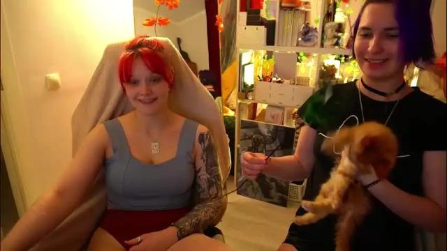 Image 3 of fox_and_dog Stream on Chaturbate on 2 months ago