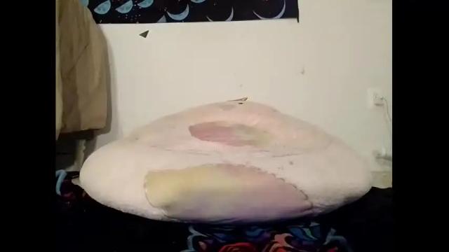 Image 7 of foxiecat777 Stream on Chaturbate on 23 months ago