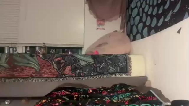 Image 3 of foxiecat777 Stream on Chaturbate on 23 months ago