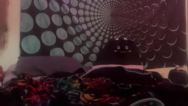 Image 4 of foxiecat777 Stream on Chaturbate on 3 months ago