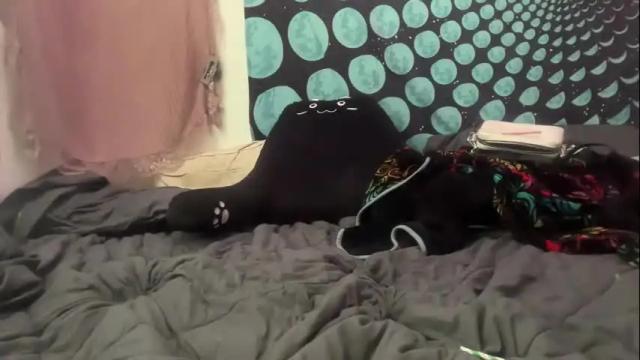 Image 12 of foxiecat777 Stream on Chaturbate on 3 months ago