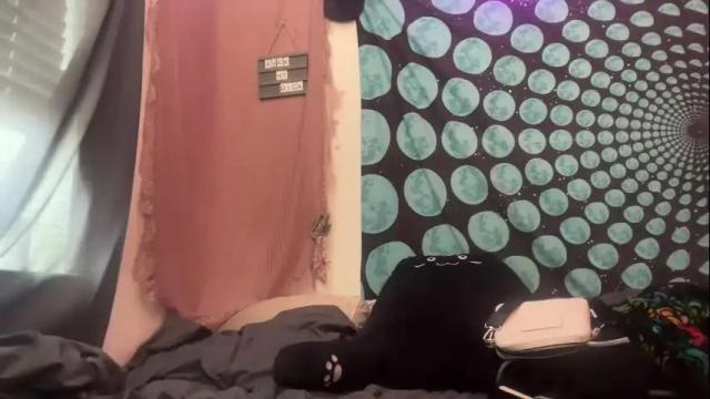Image 2 of foxiecat777 Stream on Chaturbate on 3 months ago