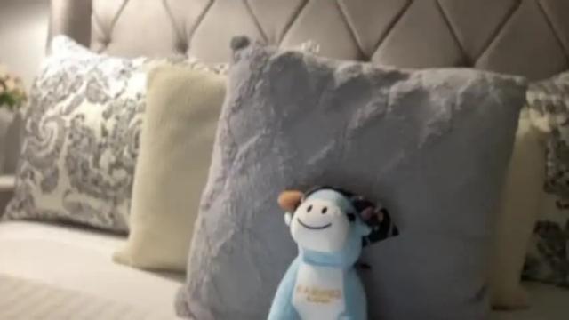 Image 10 of foxyluscious Stream on Chaturbate on 8 days ago