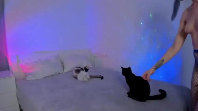 Image 12 of frankiexhere Stream on Chaturbate on 16 months ago